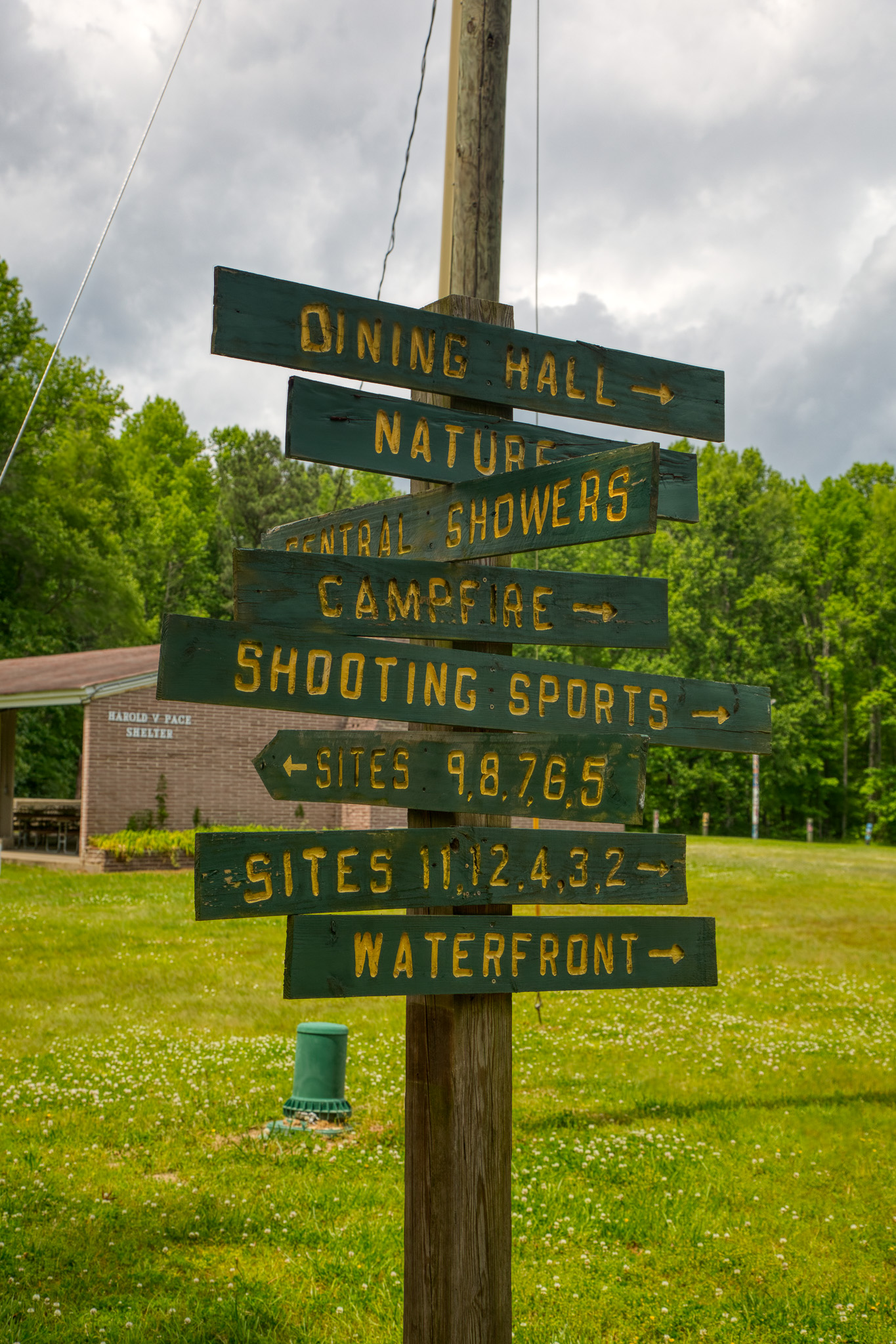 Camp Lions Signs