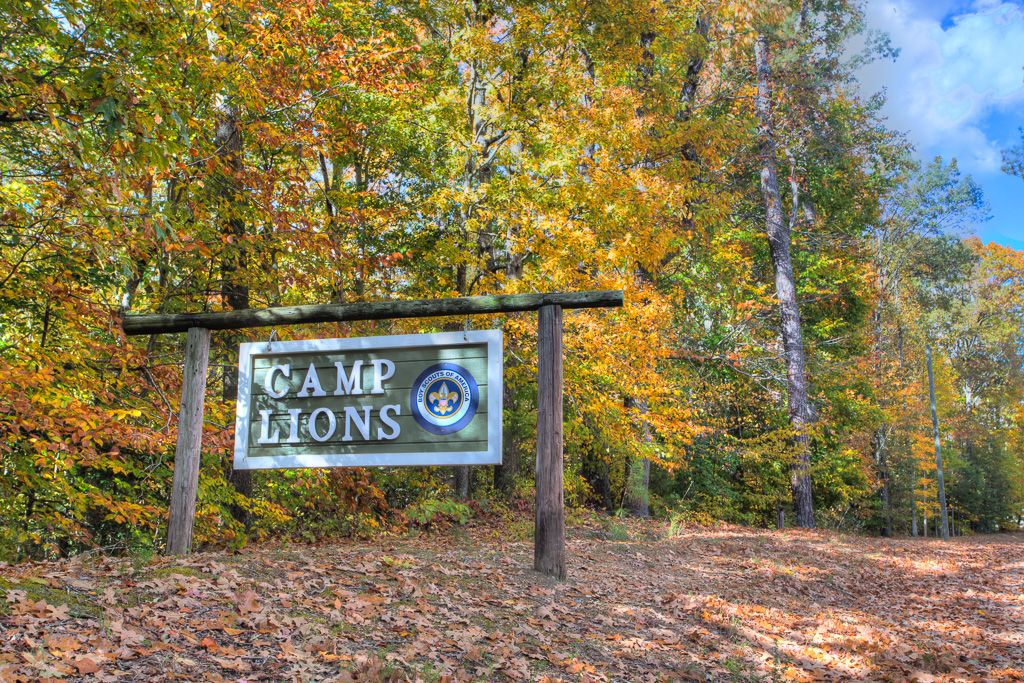 camp lions sign